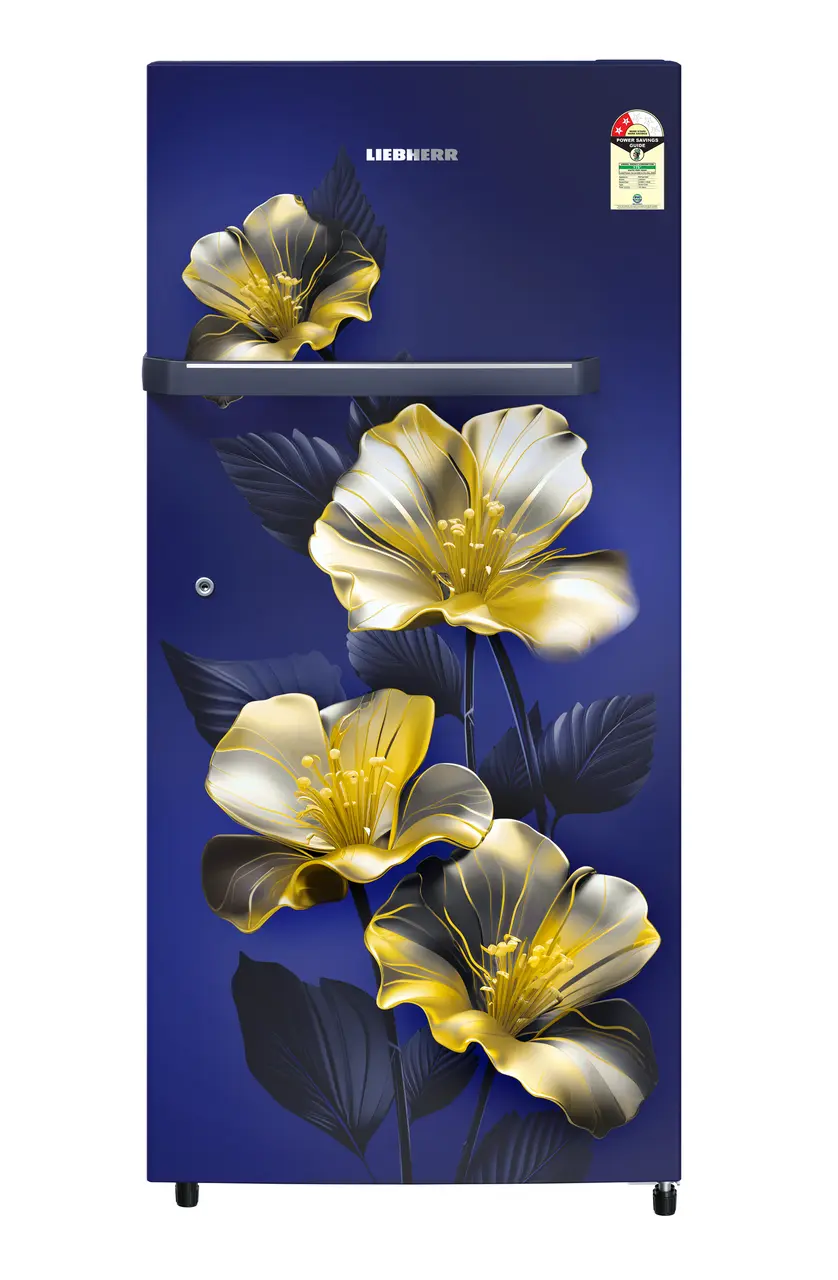 デハラユキノリ DNClhB 1901 pure Single-door refrigerator 191 l in 2 Star and with